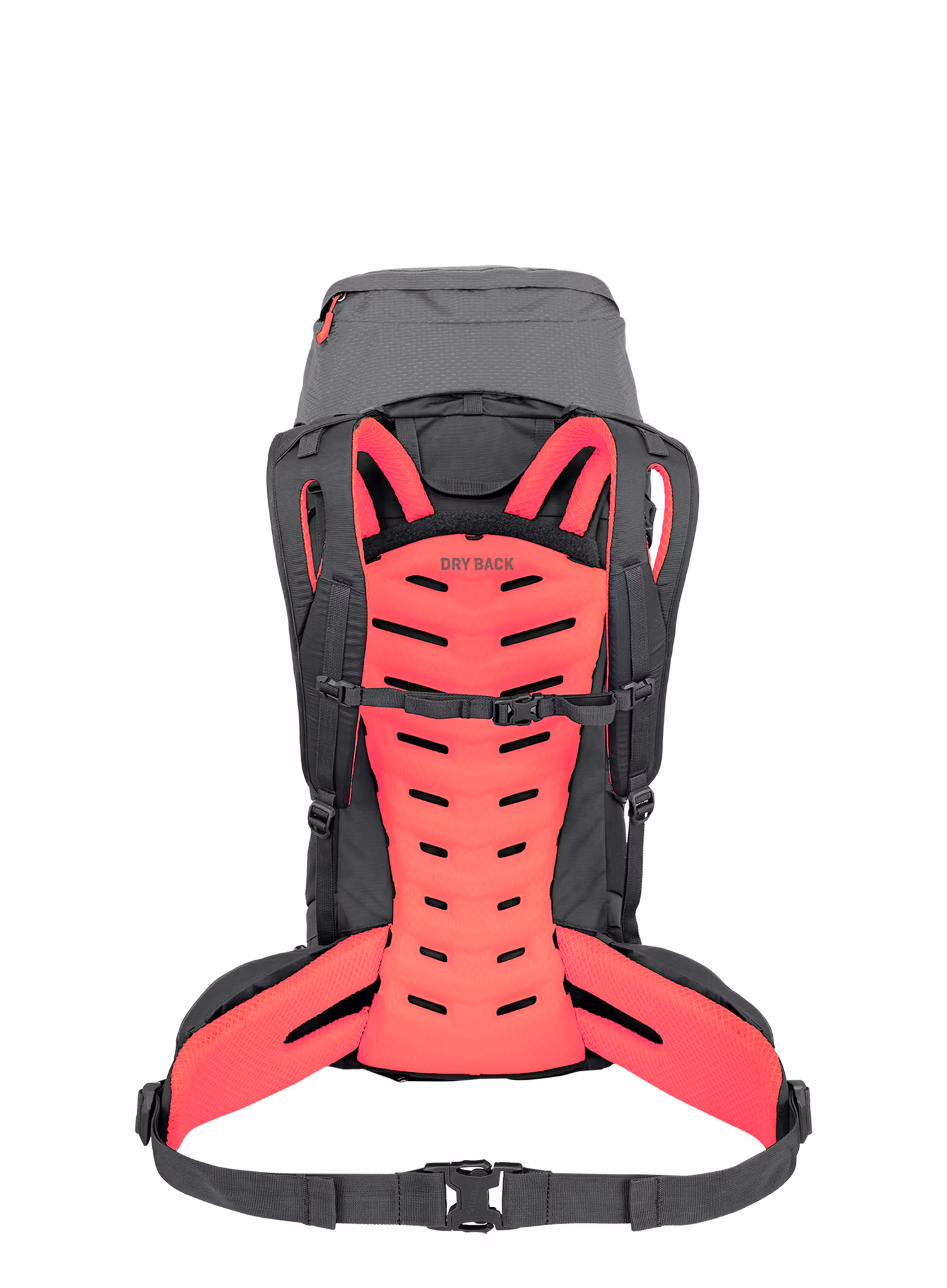 Ženski pohodniški nahrbtnik Salewa Alptrek 38 +5 BP WS - quiet shade/fluo coral