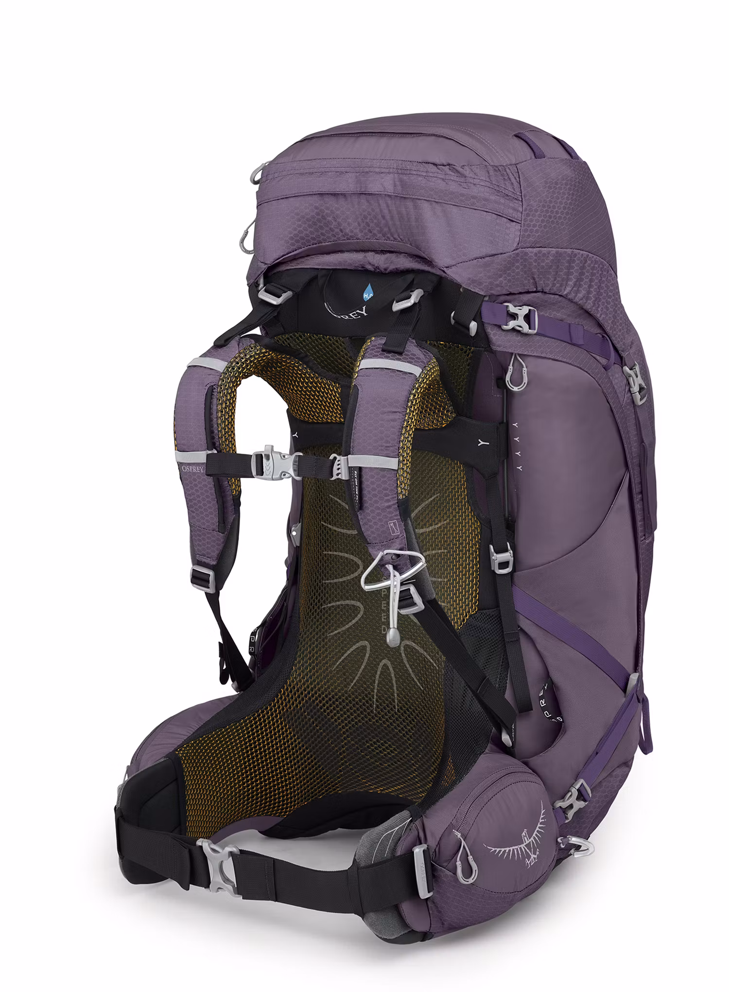 Ženski pohodniški nahrbtnik Osprey Aura AG 65 - enchantment purple