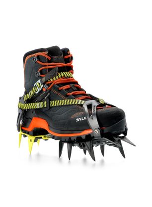 Klasične dereze Salewa Alpinist Walk - black