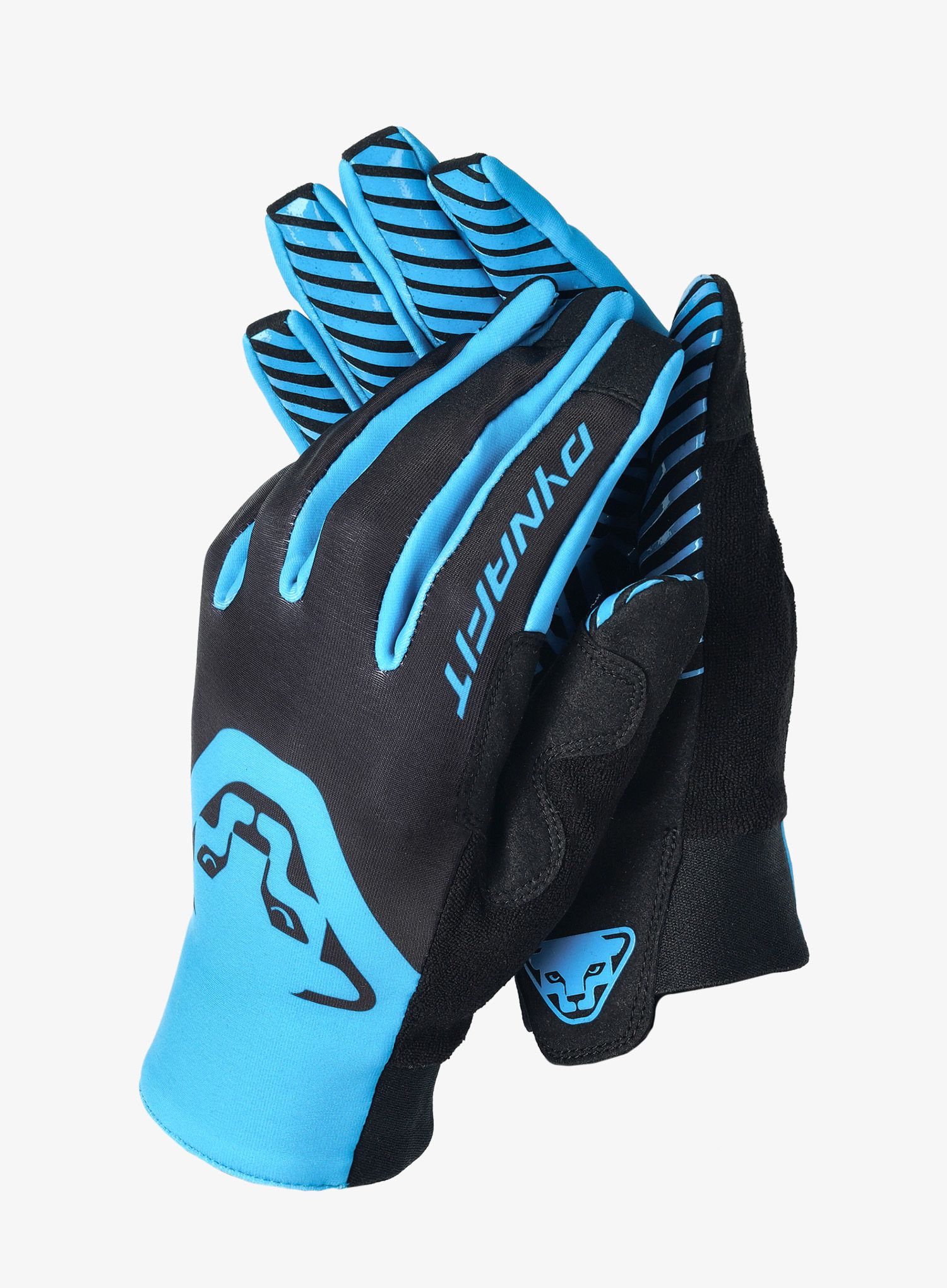 Rokavice za turno smučanje Dynafit DNA 2 Gloves - frost