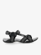 CMPHamal_nero8055199471973a.webp