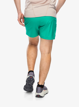 Moške kratke hlače Salomon Shakeout Core 5 Shorts - parakeet