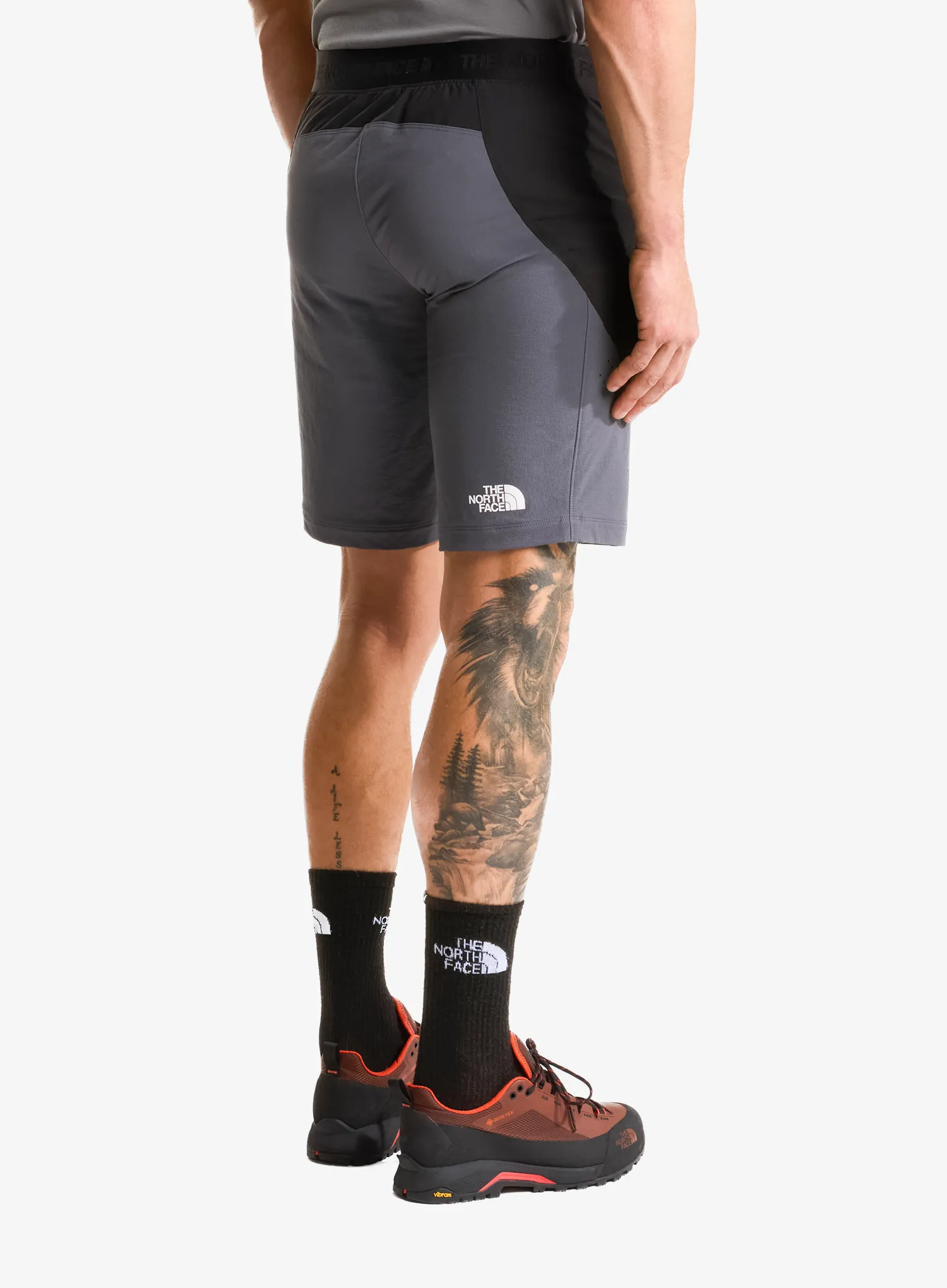 Plezalne kratke hlače The North Face Circadian Alpine Short - black/grey
