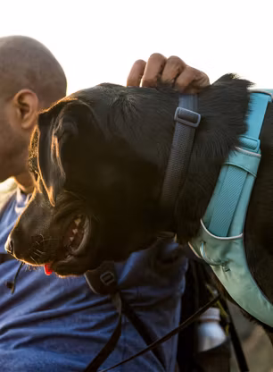 Pasja oprsnica Ruffwear Front Range Harness L/XL - river rock green