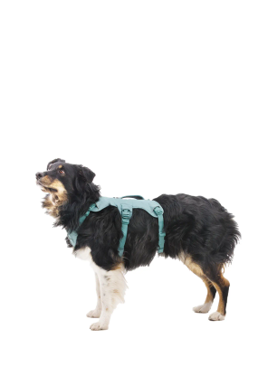 Pasja oprsnica Ruffwear Web Master Harness - river rock green