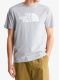 Majica s kratkimi rokavi The North Face Evolution Half Dome Regular SS - grey/tnf white