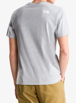 Majica s kratkimi rokavi The North Face Evolution Half Dome Regular SS - grey/tnf white
