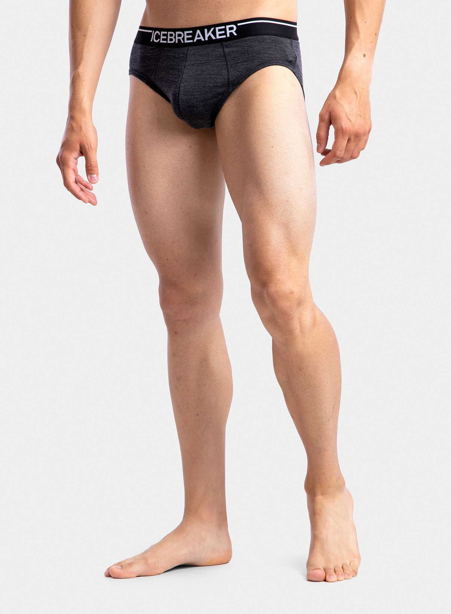 Spodnjice Icebreaker Anatomica Briefs - jet hthr/black